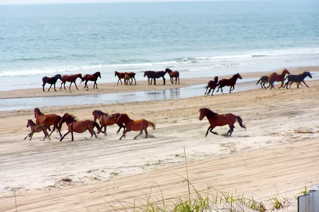 things to do in Outer Banks